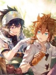 小红帽live最新版本2026